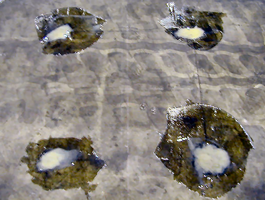 棚等のアンカー跡を埋める