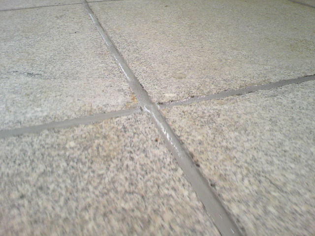 食品工場 タイルの目地