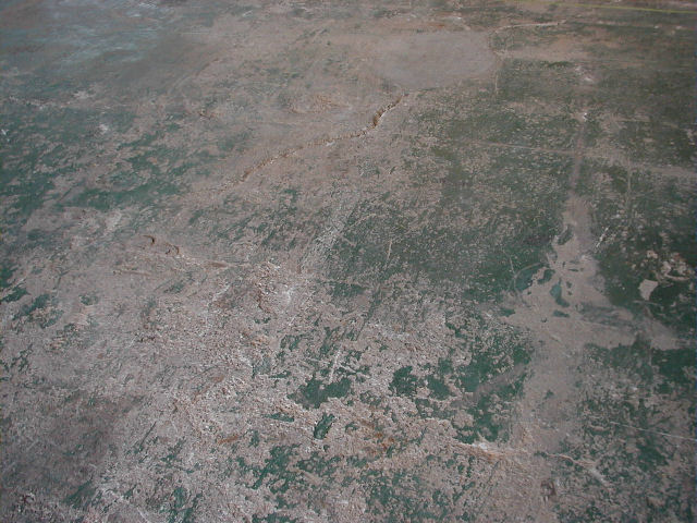 �����ɂ��򉻁@�ł��ڂ�