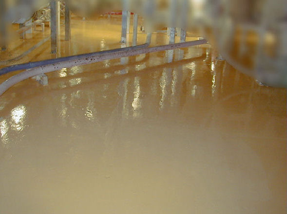 �����q�Ɂ@�t�H�[�N���t�g�ʍs�с@�n�K��