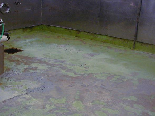 食品工場 転倒事故防止