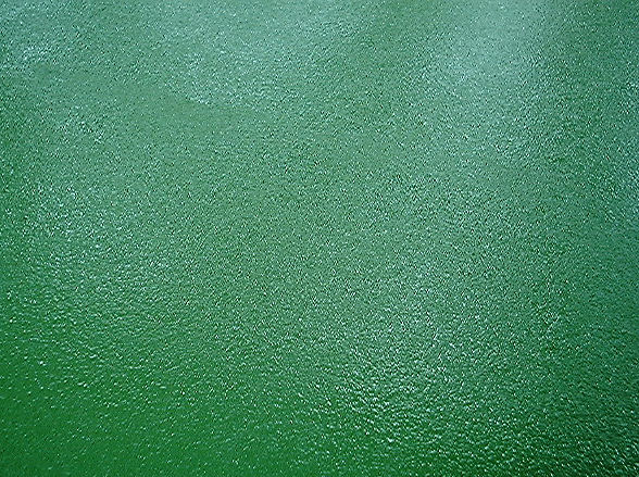 塗布面 拡大画像