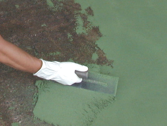 ���R�e����w���ŉ��n�ɓh����Ă�������